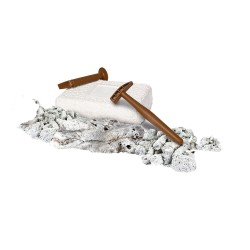 Εκπαιδευτικό Παιχνίδι Δεινόσαυροι Τυραννόσαυρος 6+ Μαθαίνω Και Δημιουργώ Lab AS Clementoni